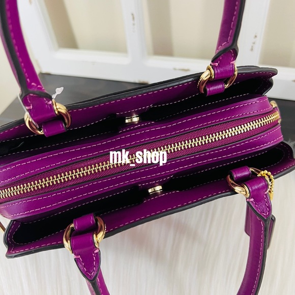 COACH Mini Lillie Jumbo Floral Satchel - Picture 8 of 14